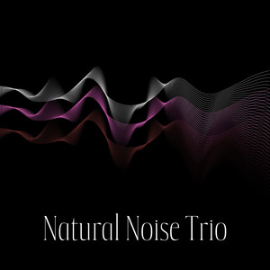 Natural Noise Trio (Improved Focus Brown Noise, Deeper Sleep Pink Noise, Ultimate Relaxation White Noise)