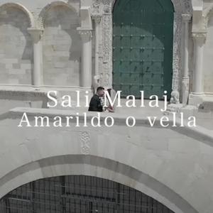 Amarildo o vella