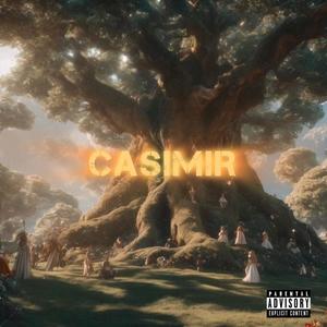 CASIMIR (Explicit)