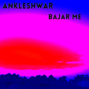 Ankleshwar Bajar Me