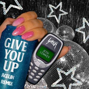 Give You Up (Acelin Remix)
