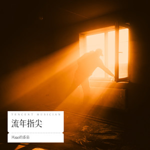 流年指尖