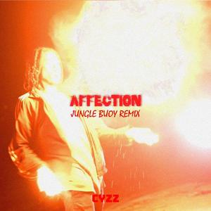 Affection (feat. Cyzz) (Remix|Explicit)
