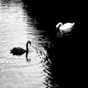 假如你舍一滴泪