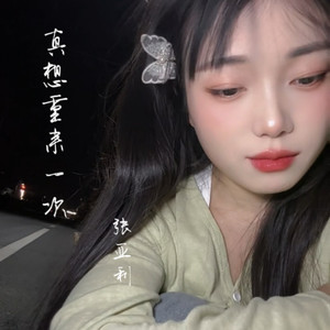 张亚利 - 真想重来一次