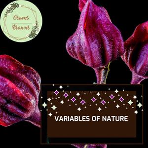 Variables of Nature