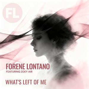 What's Left Of Me (feat. Zoey Air)