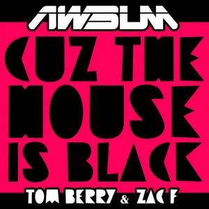 Cus The House Is Black (Original Mix)
