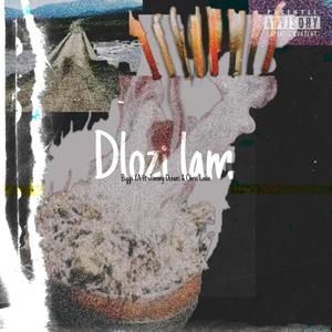 Dlozi Lam (feat. Jimmy Oceans & Chris Louie) (Explicit)
