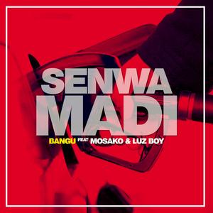 Senwa Madi