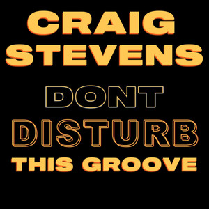 Dont Disturb This Groove