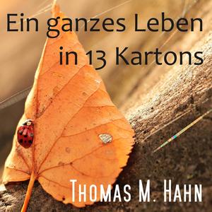 Ein ganzes Leben in 13 Kartons