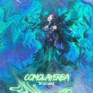 COMOLAYERBA (Explicit)