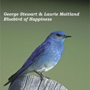 Bluebird of Happiness