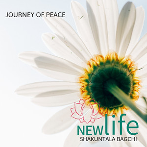 Journey Of Peace