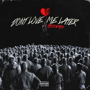 Don't Love Me Later (Explicit)