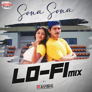 Sona Sona Lofi Mix (From "Vaalee")