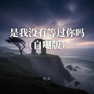 是我没有等过你吗 (自嘲版)封面