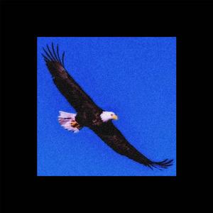 The Eagle (Explicit)