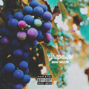 Grapevine (Explicit)