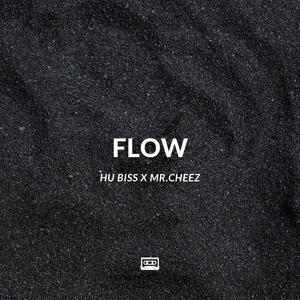 FLOW (Extended Version)
