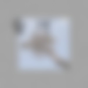 套铁蘑菇 - 爱河