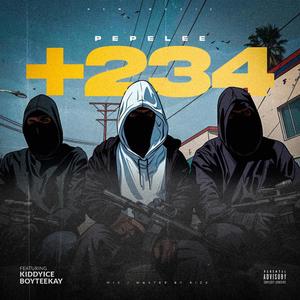 +234 (feat. Kiddyice & Boyteekay) [Explicit]