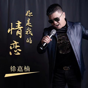 你是我的情恋 (伴奏)