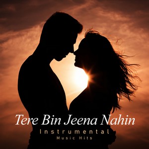 Tere Bin Jeena Nahin (Instrumental Music Hits)