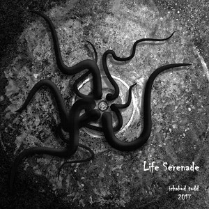 Life Serenade