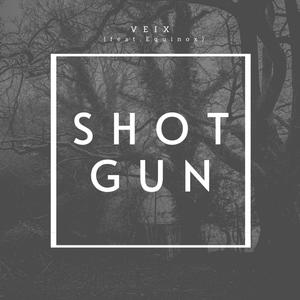 Shotgun (feat. Equinox) [Explicit]