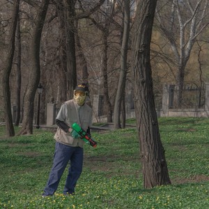 Танець кволого павука