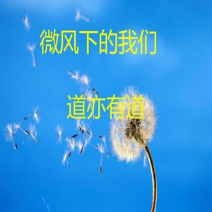 爱吗累吗