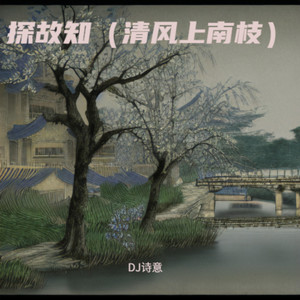 探故知-DJ诗意
