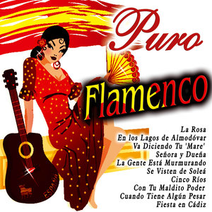 Puro Flamenco