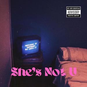 She's Not U (feat. LUV)