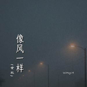 像风一样 (女版)封面
