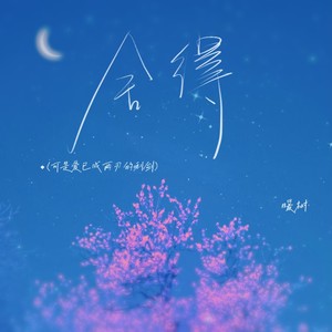 舍得（可是爱已成两刃的利剑）