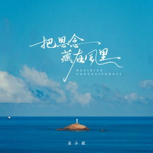 把思念藏在风里 (DJ阿诺版)封面