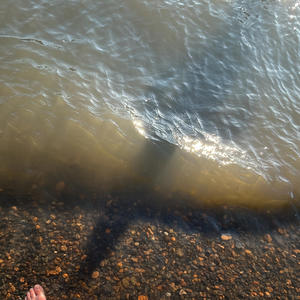 what once was us (Explicit)