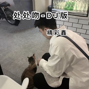 处处吻 (改编版原唱: 杨千嬅|DJ版)