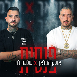 פנסית