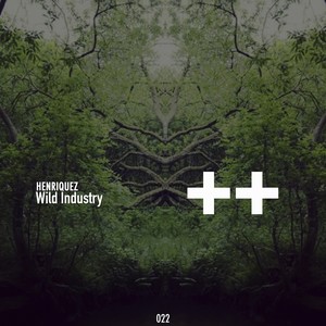 Wild Industry (Original Mix)