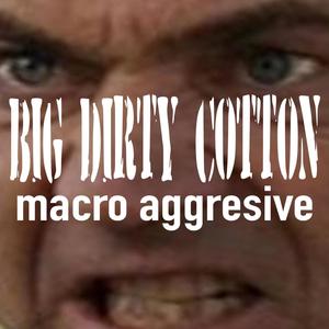 Macro Aggressive (feat. Big Trox, JDirty & Troxy Cotton) [Explicit]