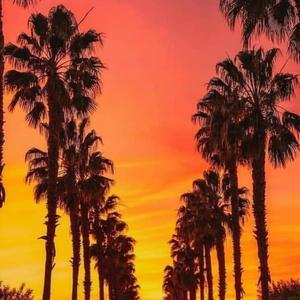 Beverly Nights (Explicit)