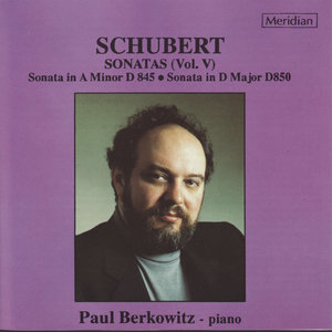 Sonata in A Minor, Op. 42, D. 845 - I. Moderato