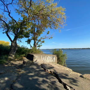 Evolved (feat. Hoodielvis) (Explicit)