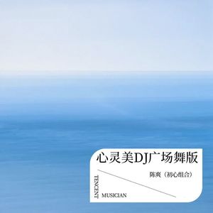 心灵美 (DJ广场舞版)
