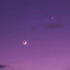 IIYC-KISS (monster怪兽 / 张雪飞 remix)