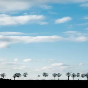 Nothing Urgent in the Air